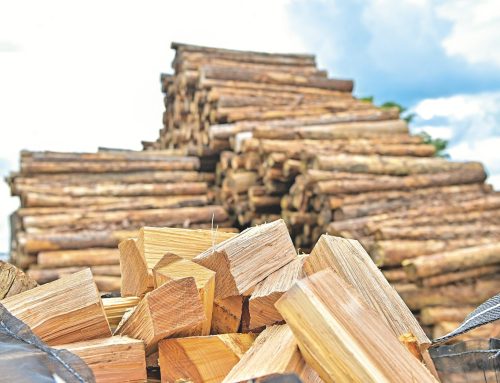 Brennholz-Angebot: Ein Vorrat für den Winter